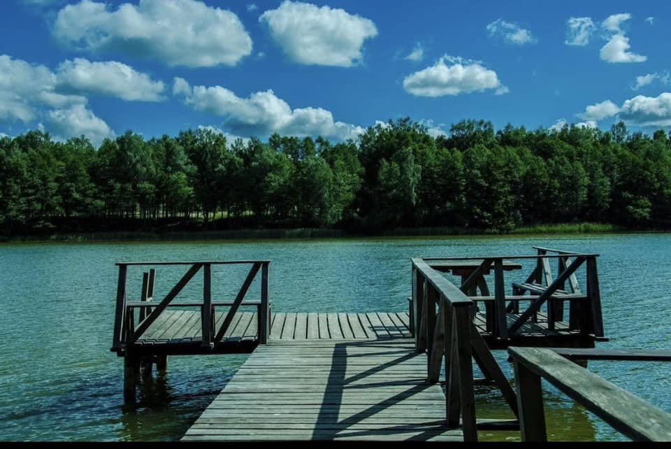 Gouden Bladeren: Een Welnessretreat in de Herfst
