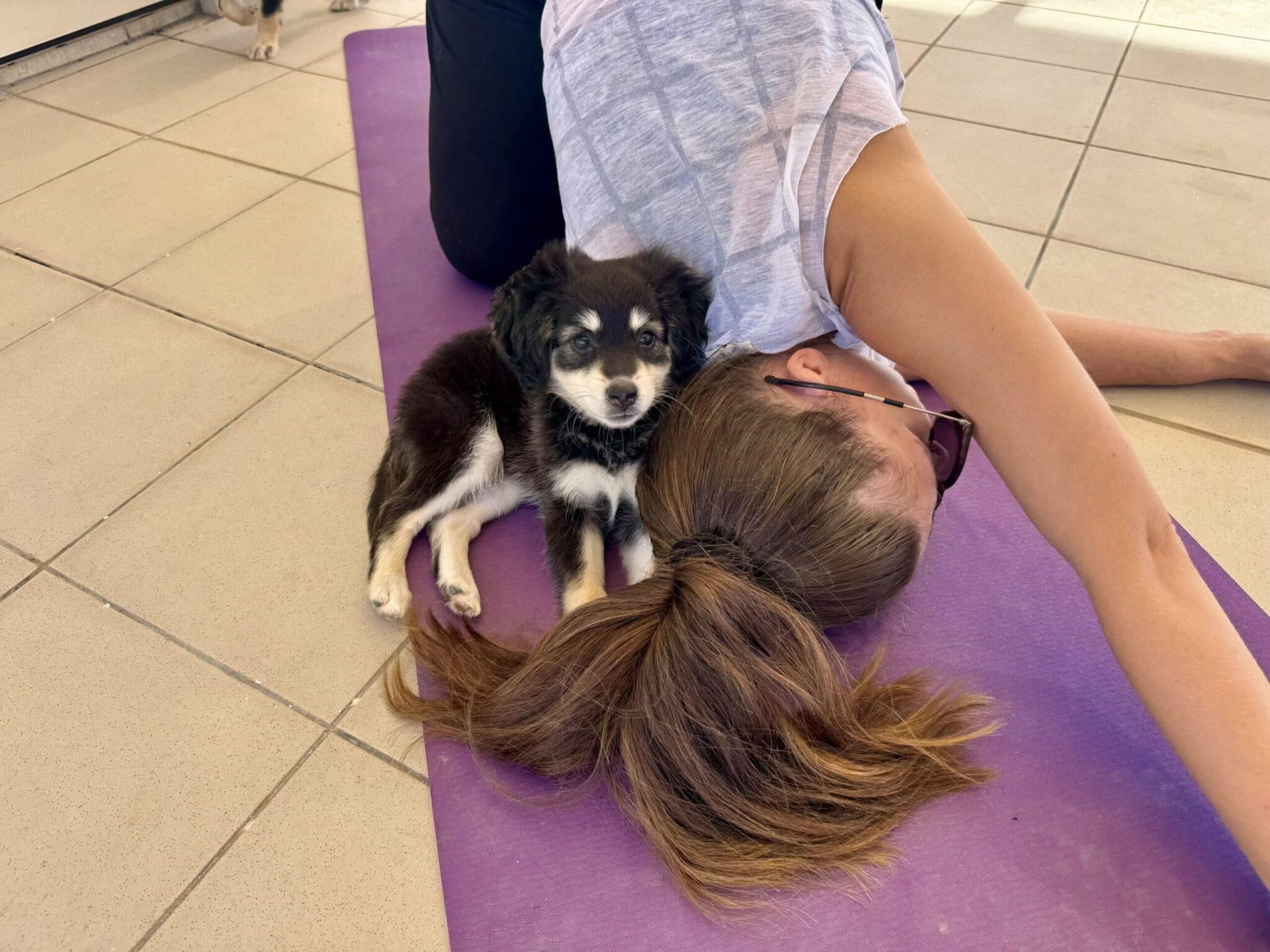 Puppyyogales
