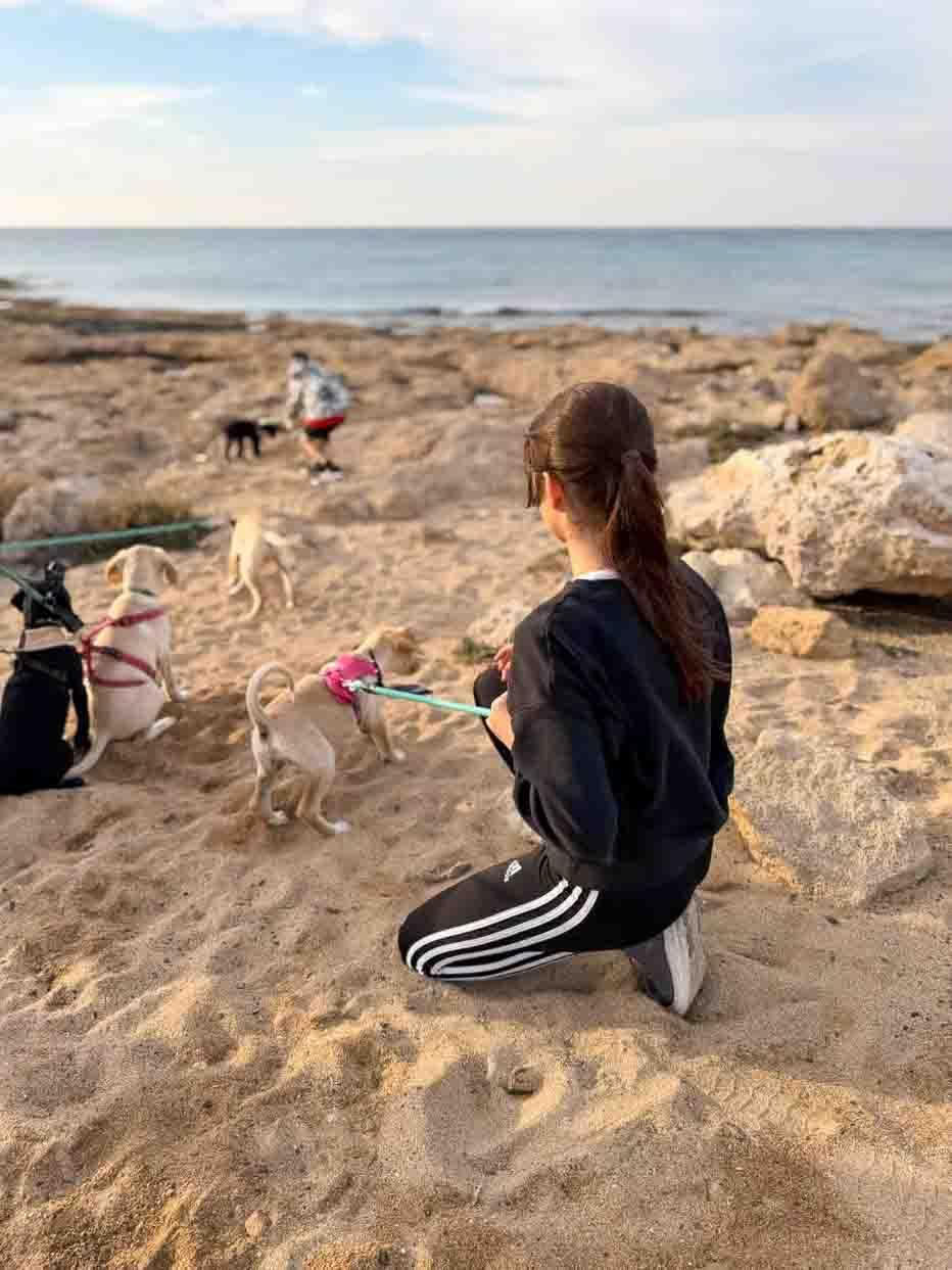 Puppy strandwandeling