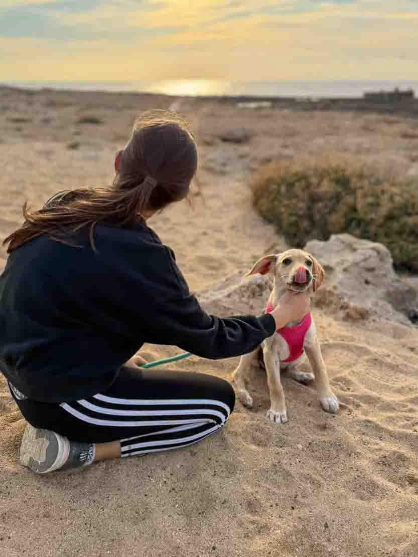 Puppy strandwandeling