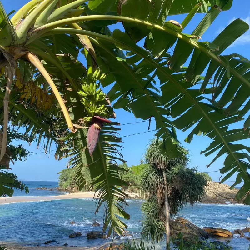 Retraite in Sri Lanka – september 2026