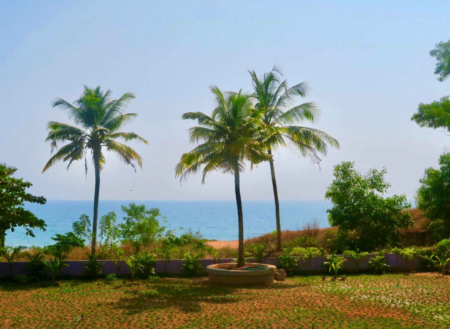 14-daagse Panchakarma- en yoga-retraite in Varkala, Kerala