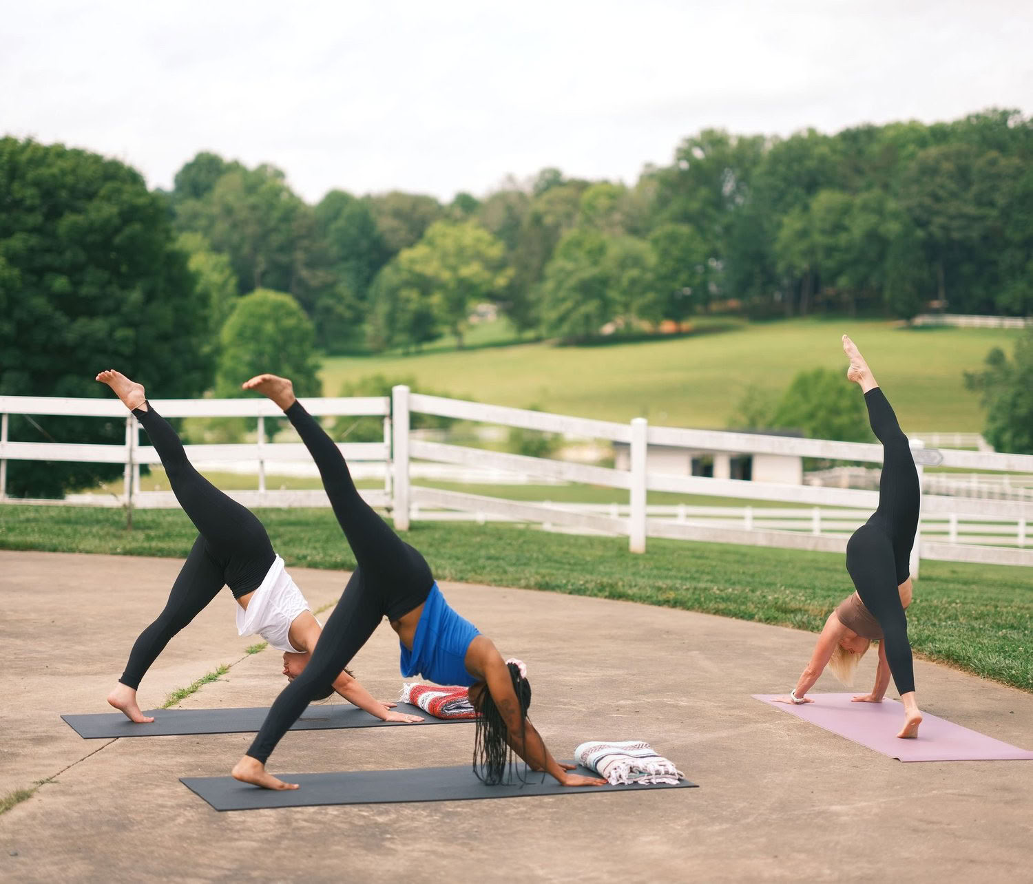 Zaterdagse zonsopgang-yogaflow met Kelly Flowers — The Horse Shoe Farm Boutique Resort bij Asheville, NC | Dineren & Spa