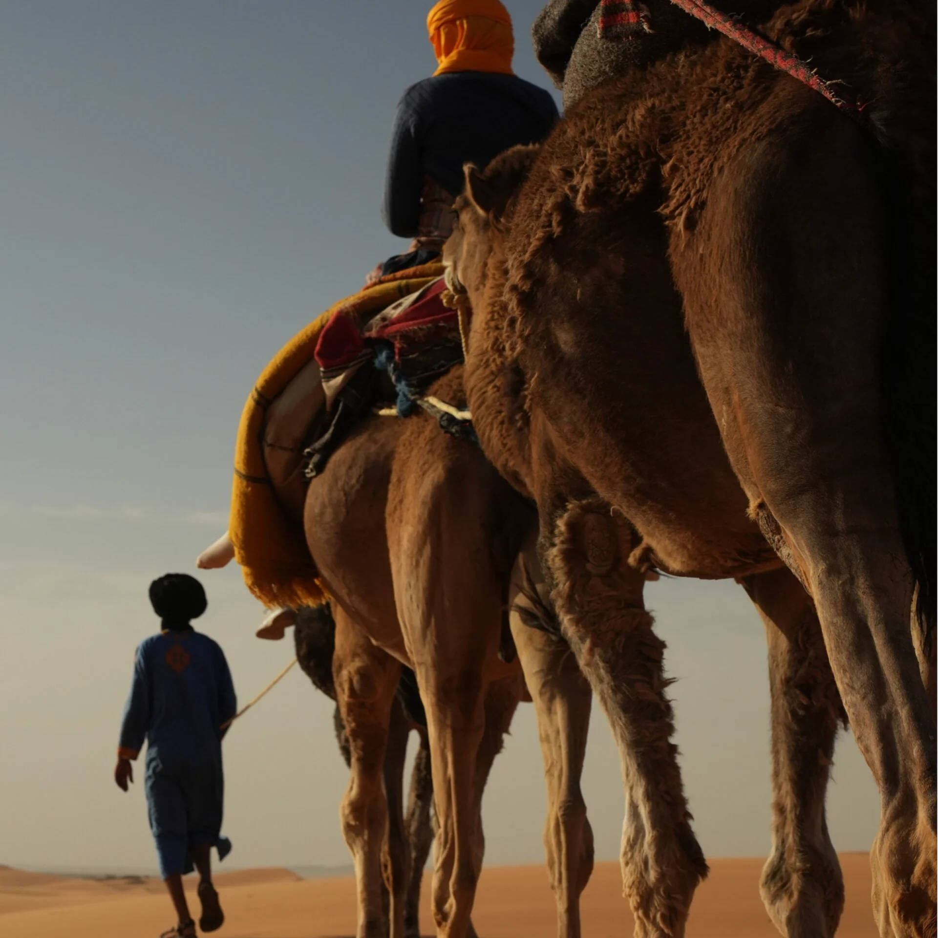 Yoga-karavaan – 9 dagen van Noord-Marokko naar de zandduinen van Merzouga