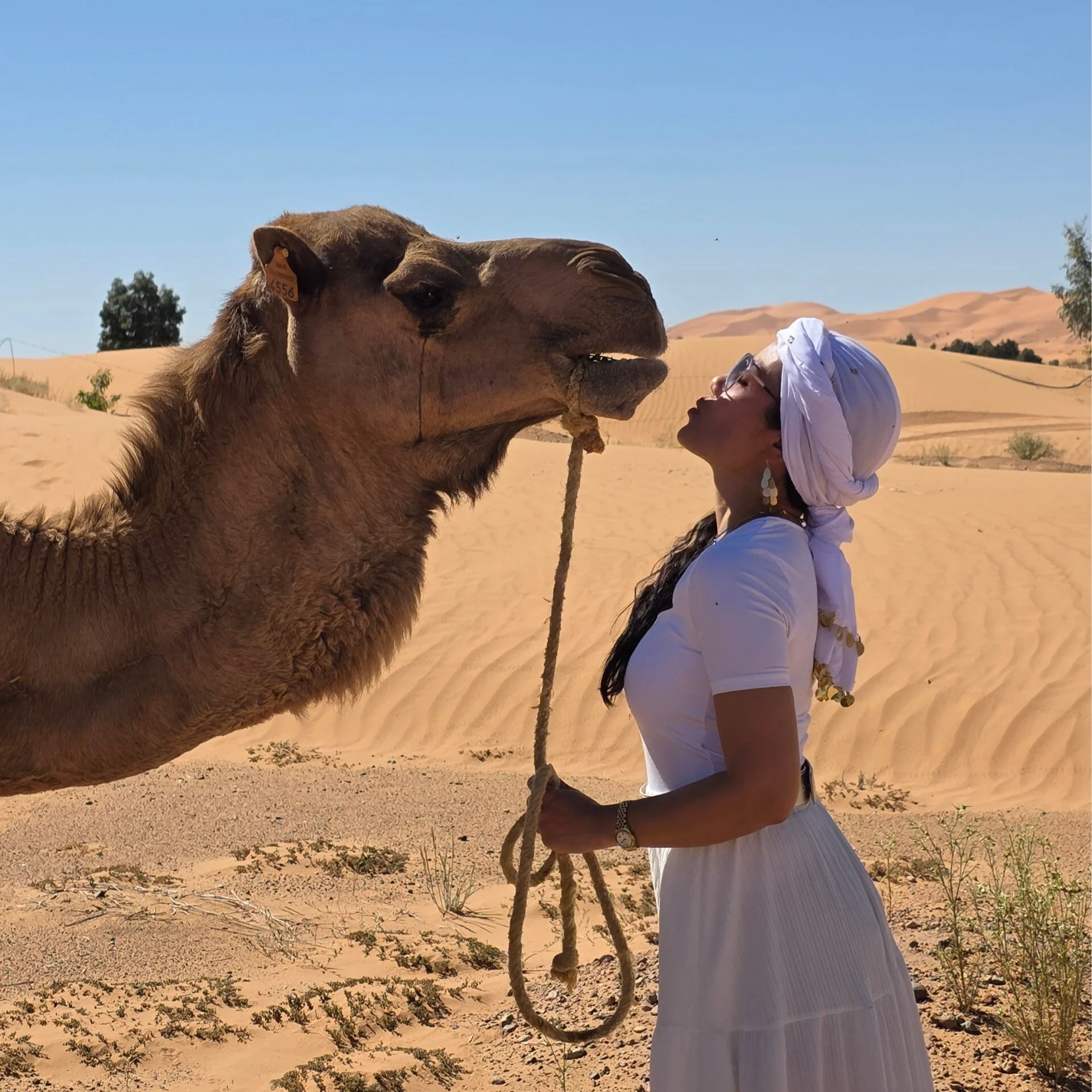 4-daagse authentieke Marokkaanse woestijnretreat – yoga, nomadencultuur en luxe kamperen in de woestijn van Errachidia naar Marrakech