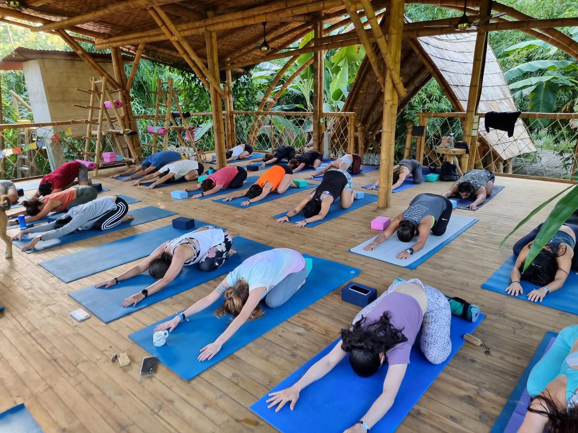 Yoga-lerarenopleiding 200 uur