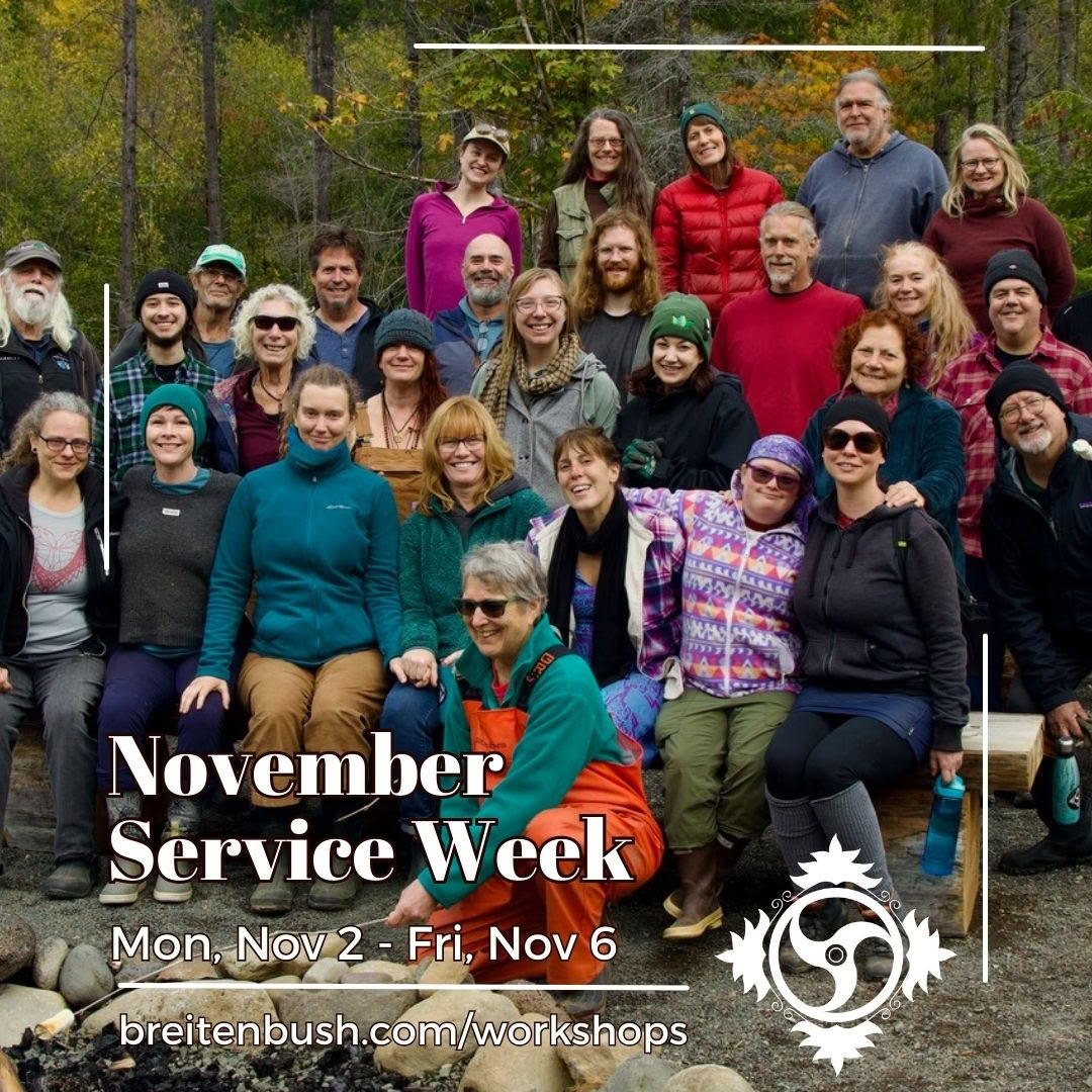 November Serviceweek