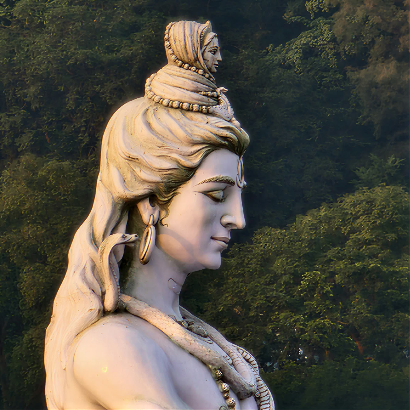 Ayurveda Detox-, Klankheling- en Meditatieretraite