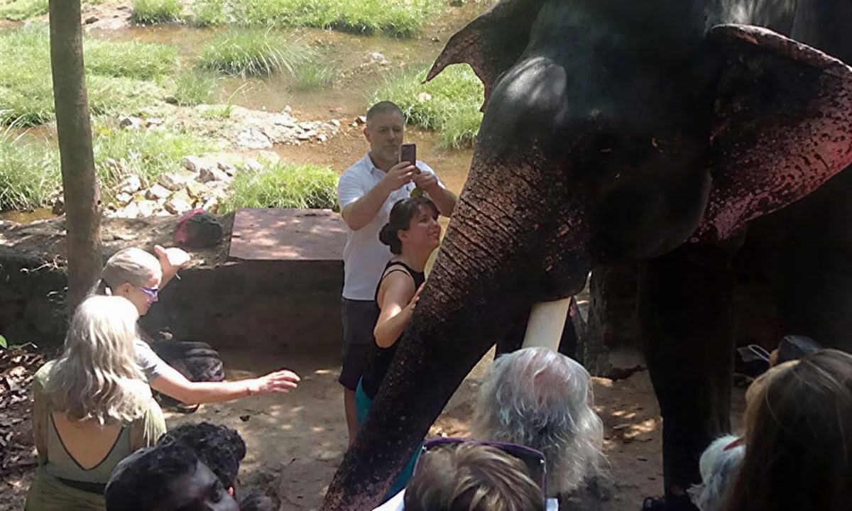 28-daagse Panchakarma-behandeling in Kerala