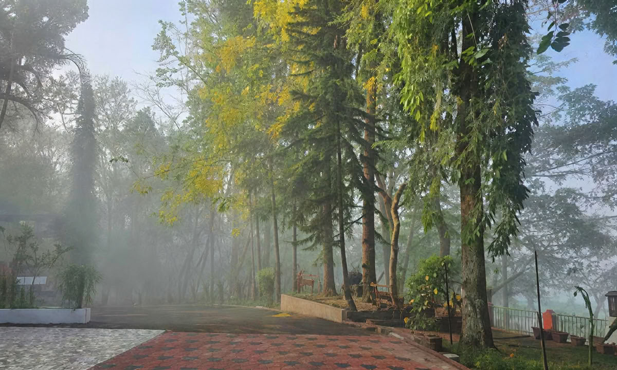28-daagse Panchakarma-behandeling in Kerala