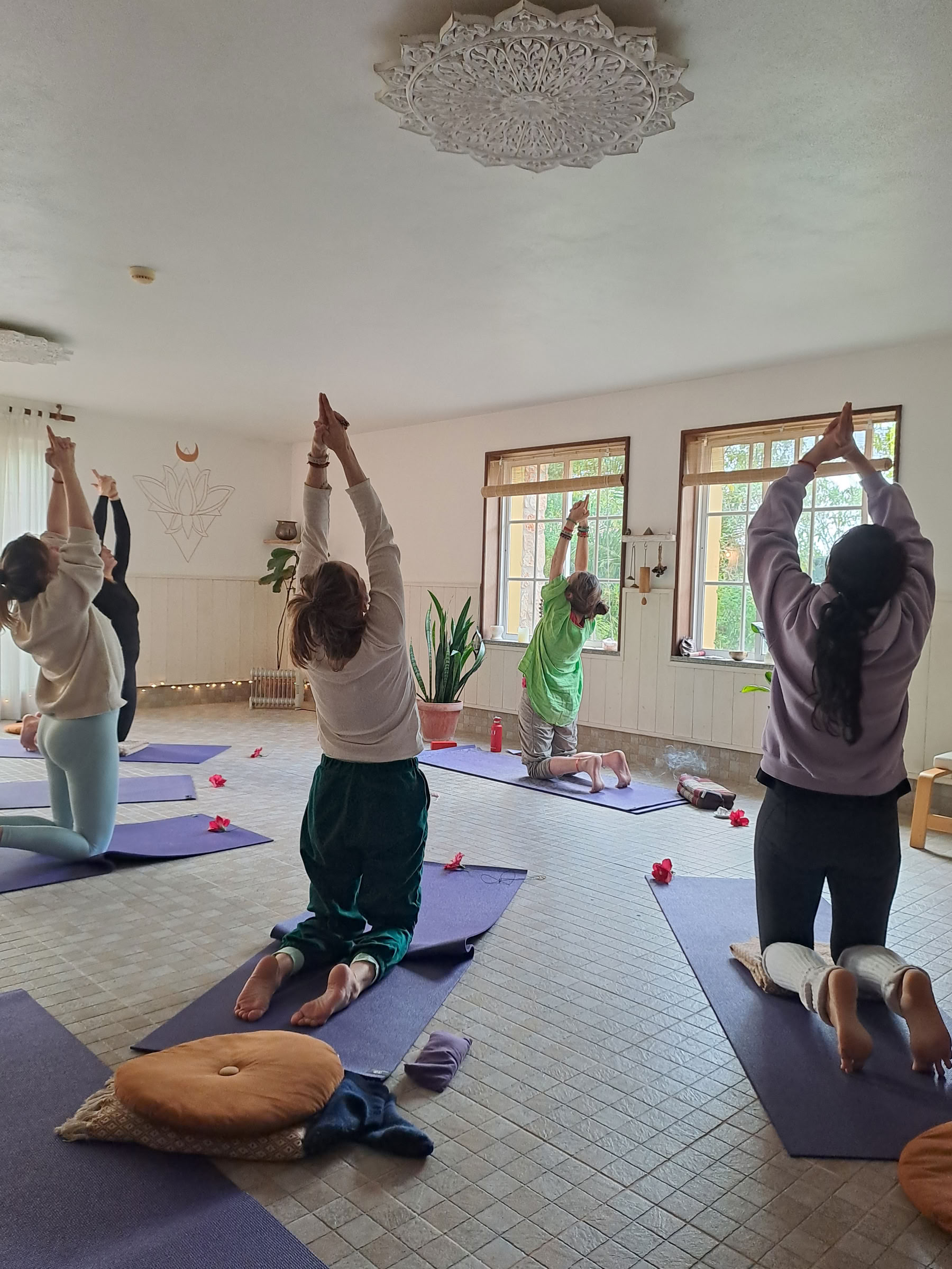 Transformationele yogadocentenopleiding van 200 uur