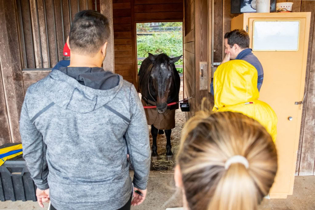 Stilte Oefenen: Een Unieke Retreat voor Welzijn van Advocaten