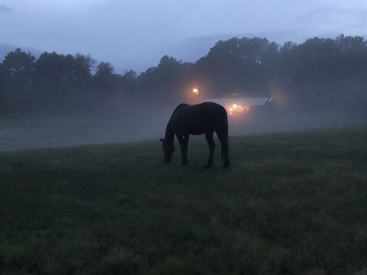 Terugkerende retraites: 4-daagse ervaringsgerichte paardenretraite voor vrouwen op een hoger niveau