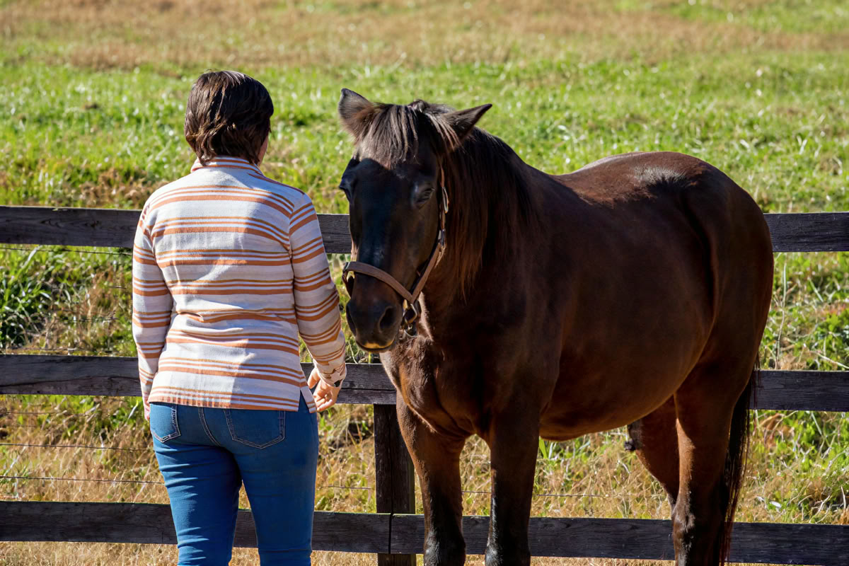 Terugkerende retraites: 4-daagse ervaringsgerichte paardenretraite voor vrouwen op een hoger niveau