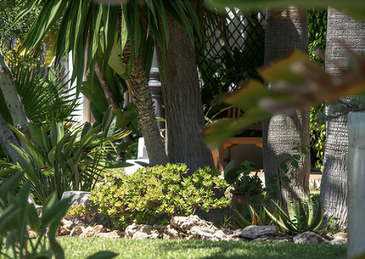 Wellnessretreat met Deirdre Fitzpatrick – Better mybody