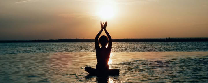 8 dagen golven, wilde dieren, wellness