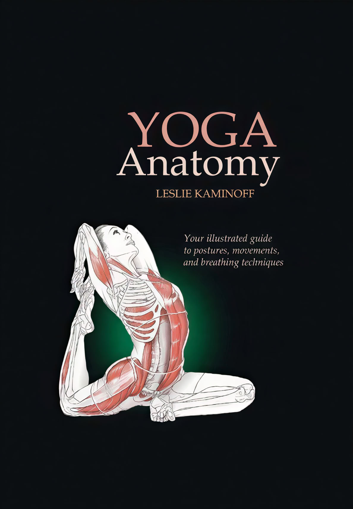 100-uurs yogadocentenopleiding voor beginners in Rishikesh, India