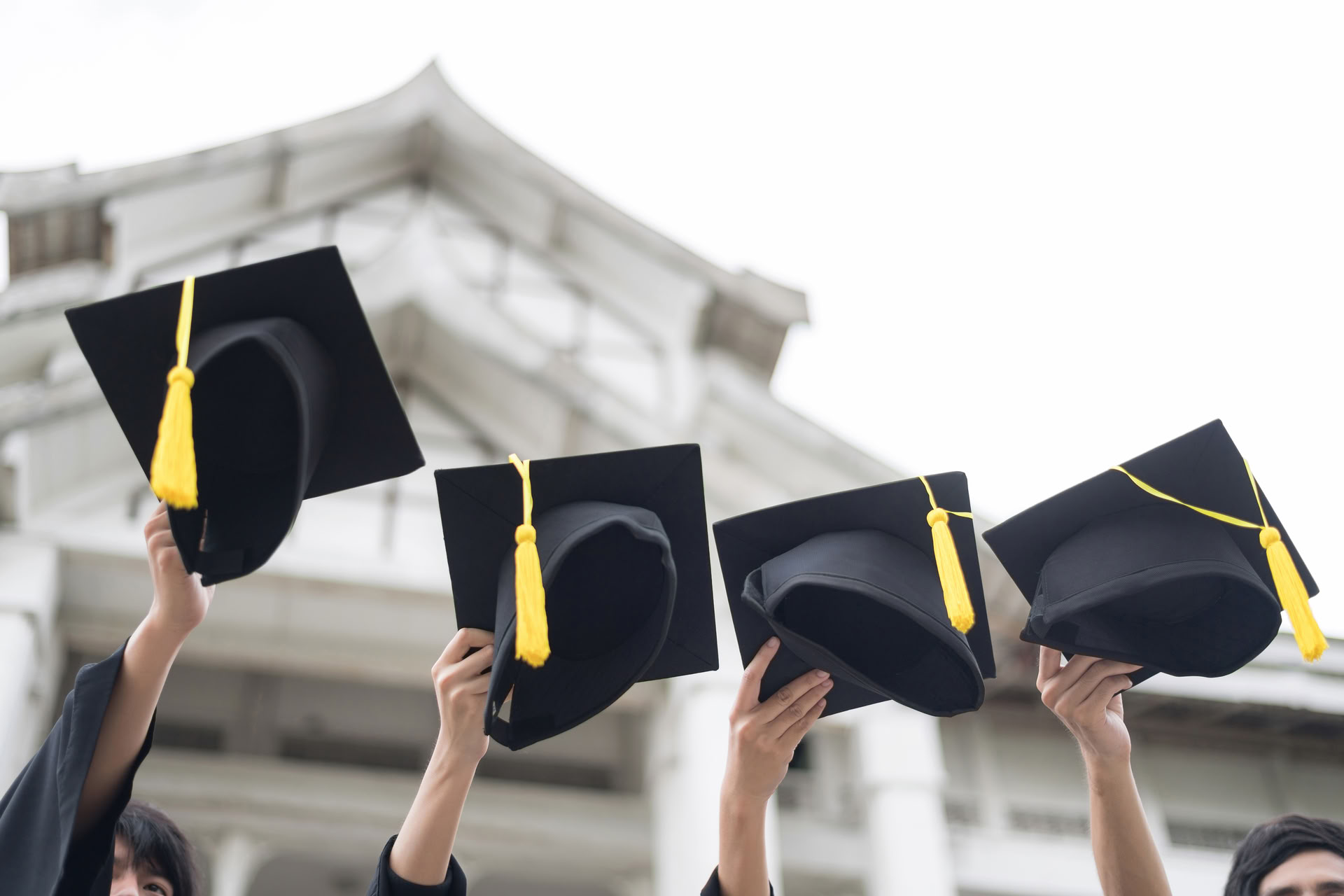 Reiki Meesterniveau en Docentenniveau