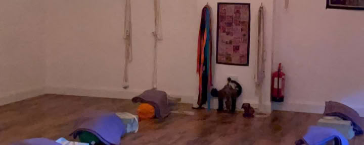 Hatha-yoga