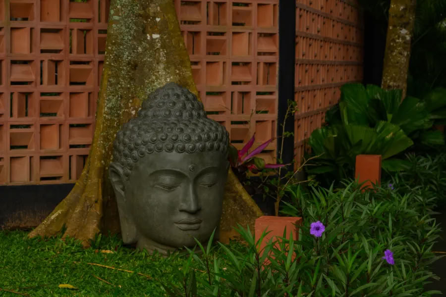 Yoga en meditatie