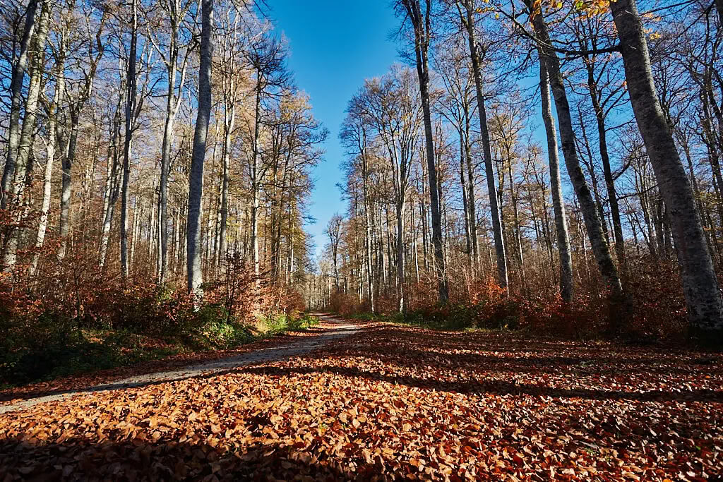 Meditatie- en yogaretreat: de knusse novemberuitstap