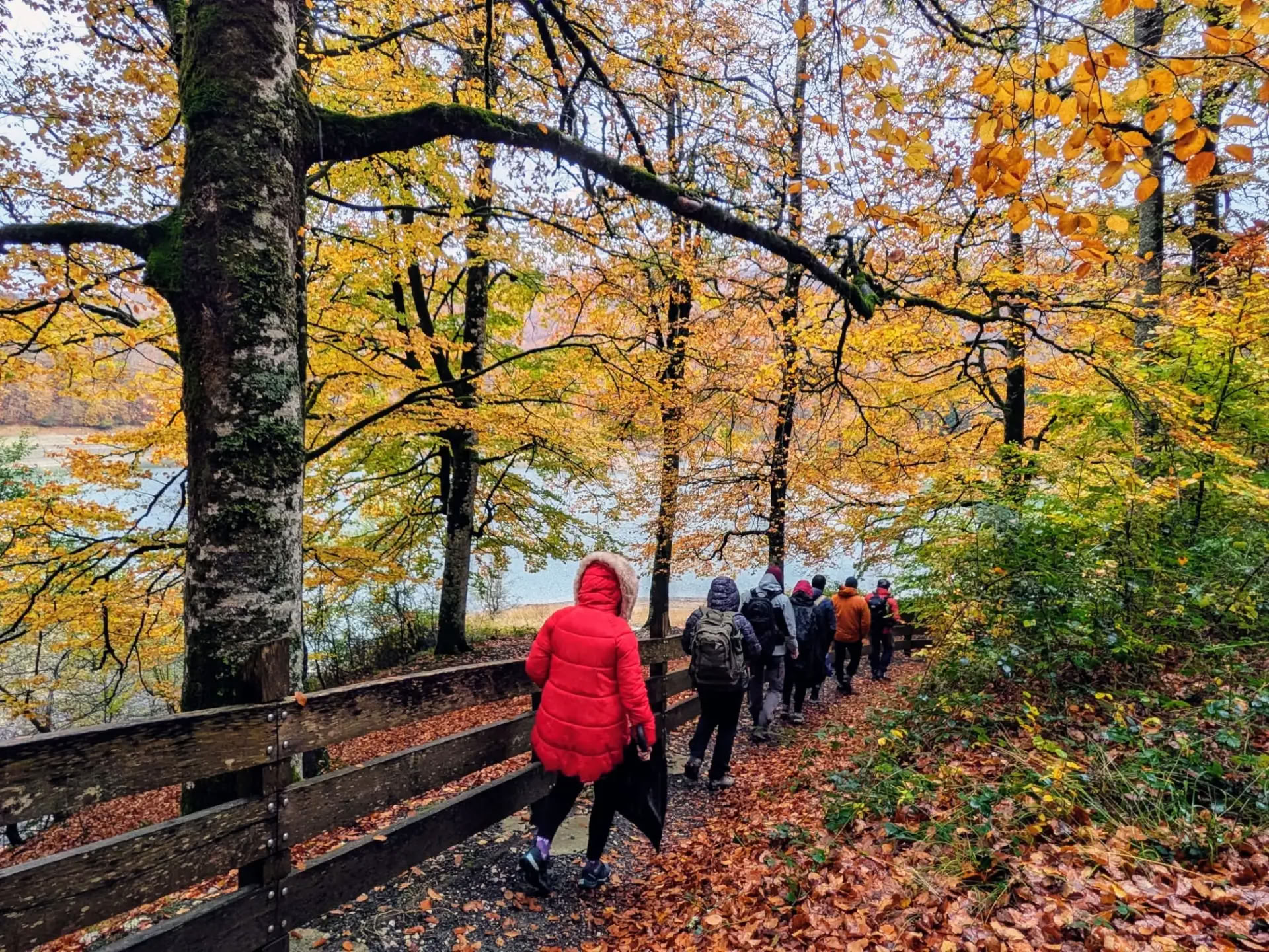 Meditatie- en yogaretreat: de knusse novemberuitstap