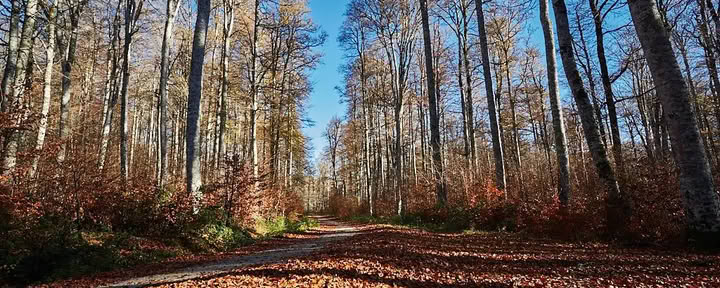 Meditatie- en yogaretreat: de knusse novemberuitstap