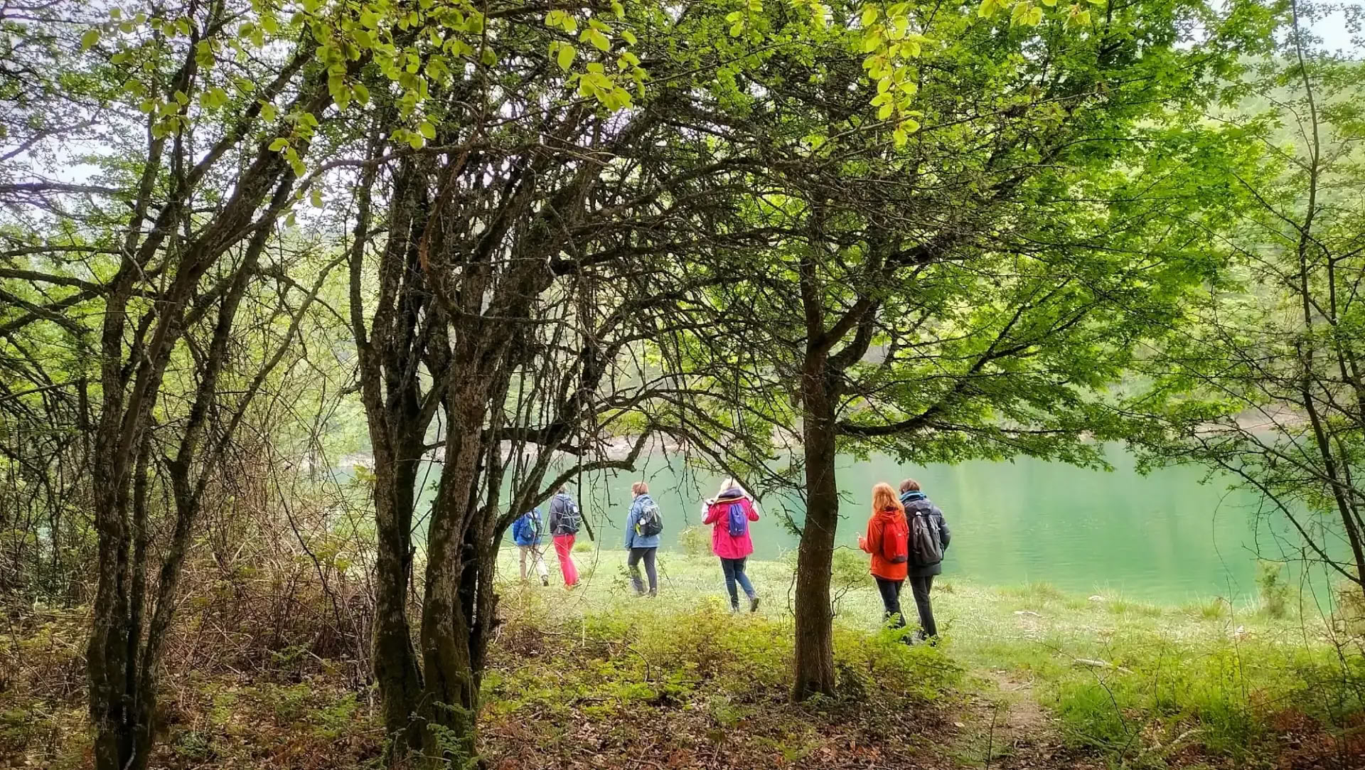 Bosbaden (Shinrin Yoku) & Yogaretreat