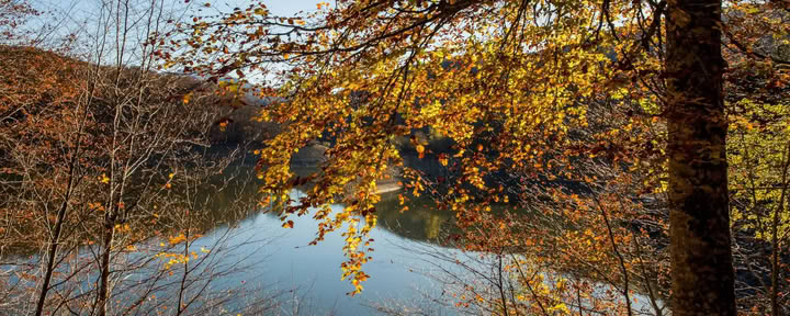 Yoga & Meditatie Heiligdom: Een Beschut Retreat in het Irati-bos