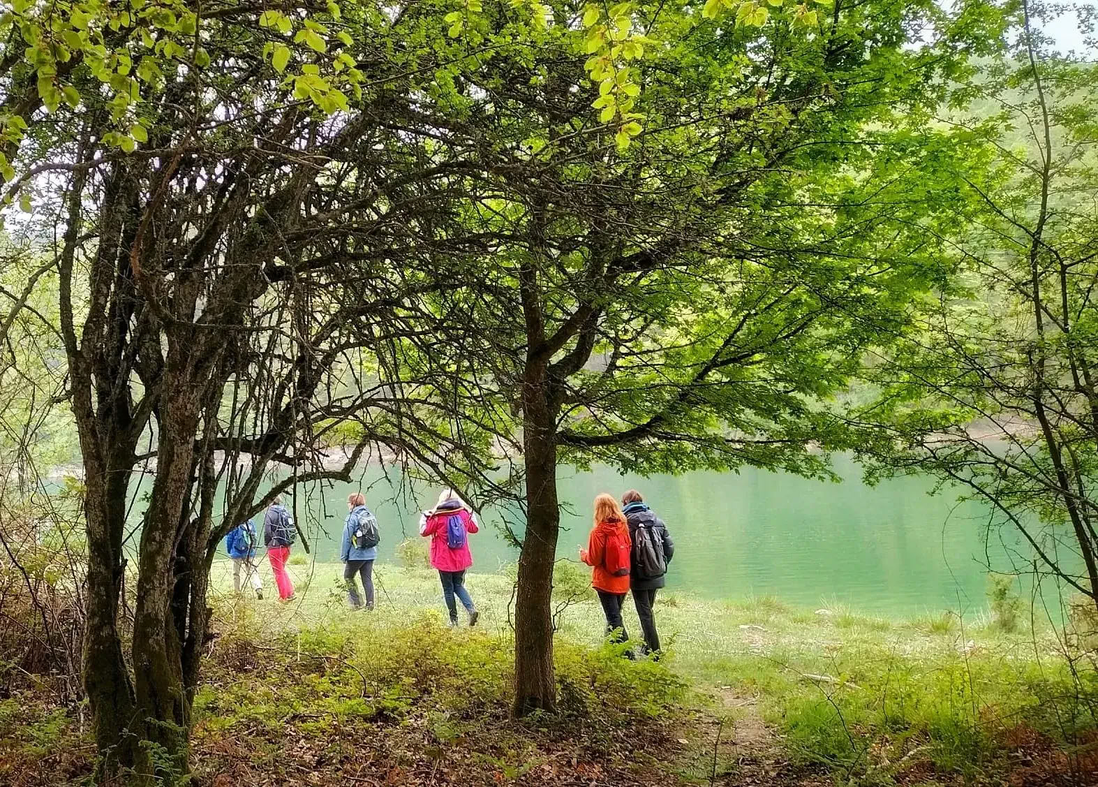Oktober Yogaretreat: De Gouden Boservaring