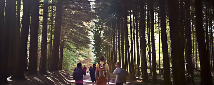 Wellnessretreat in Spanje: September reset en opladen