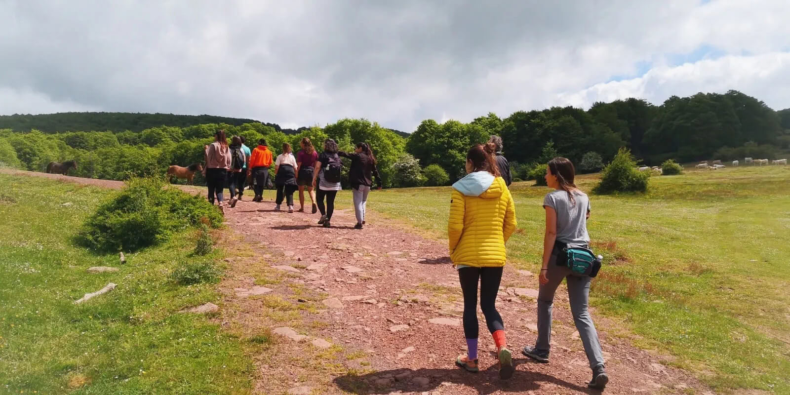 Yoga- en Natuurretreat: De Gouden Boservaring