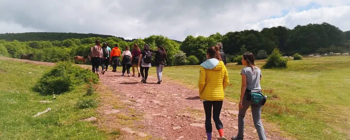 Yoga- en Natuurretreat: De Gouden Boservaring