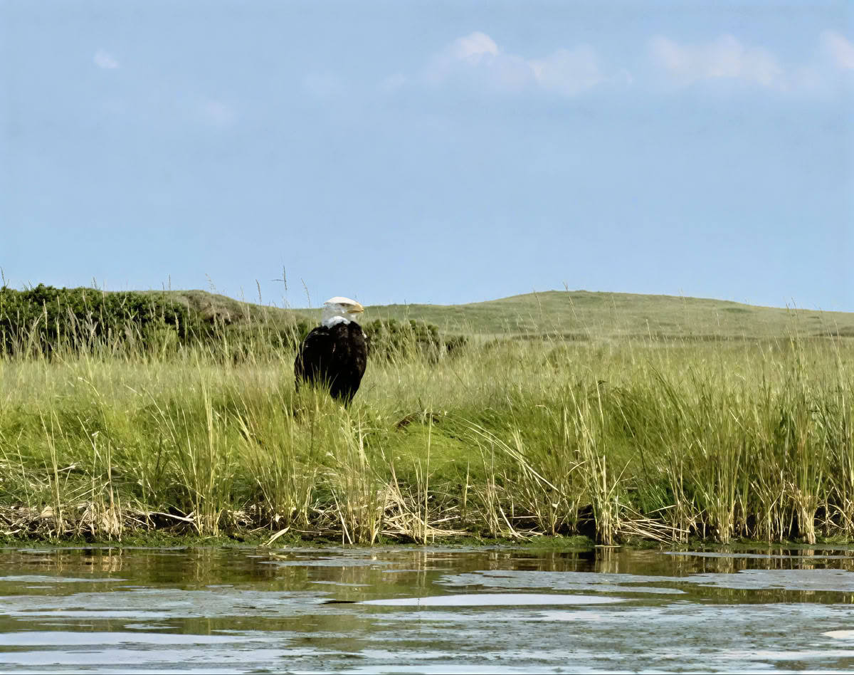 Herkader je Focus: Een Mindful Fotografie-Retreat