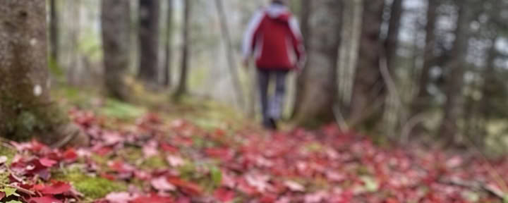 Herkader je Focus: Een Mindful Fotografie-Retreat