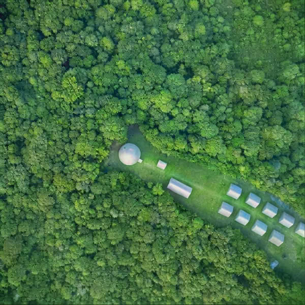 Ayahuasca-onderdompeling