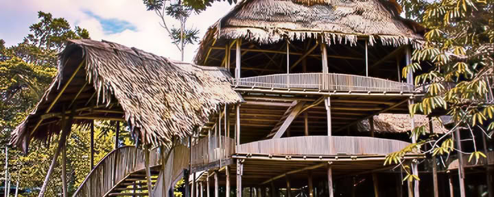Traditionele Ayahuasca-ceremonie
