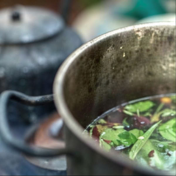 Ayahuasca-retraite Iquitos, Peru