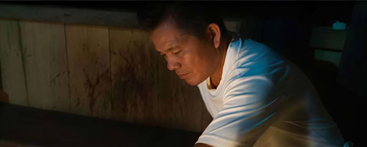 Ayahuasca-retraite Iquitos, Peru
