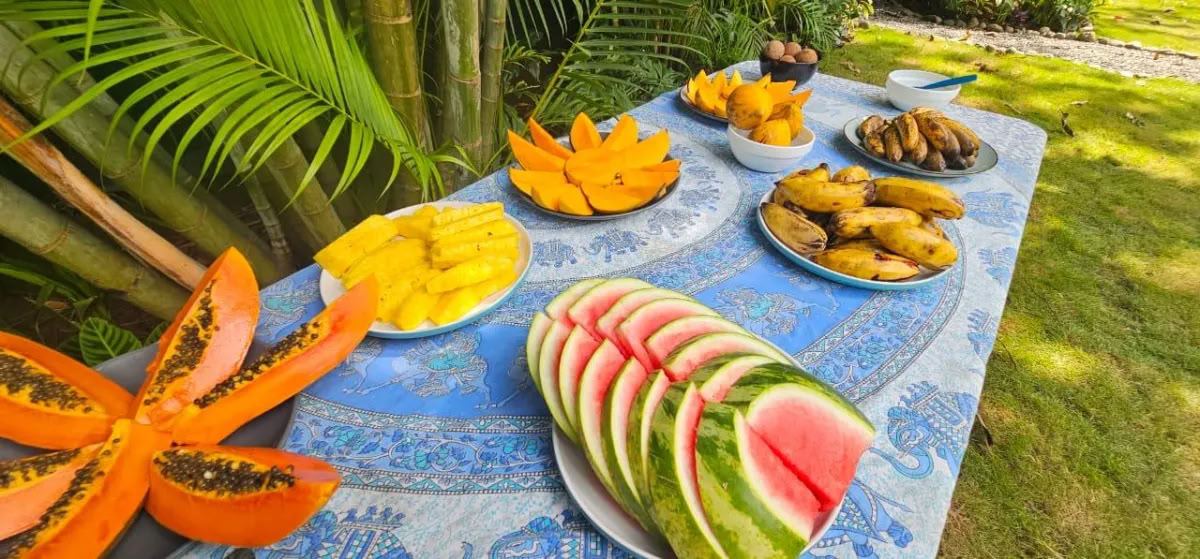 Terug naar het paradijs wellnessretreat