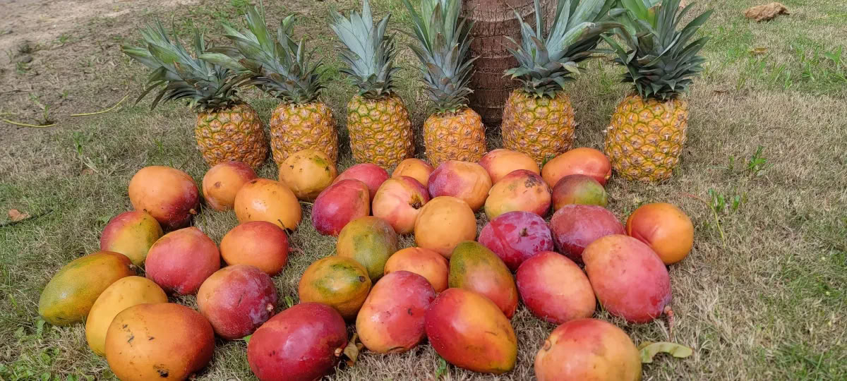 Terug naar het paradijs wellnessretreat
