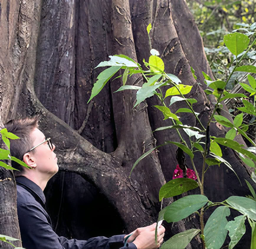 5-daagse introductie tot ayahuasca en Amazonische plantenmedicijn