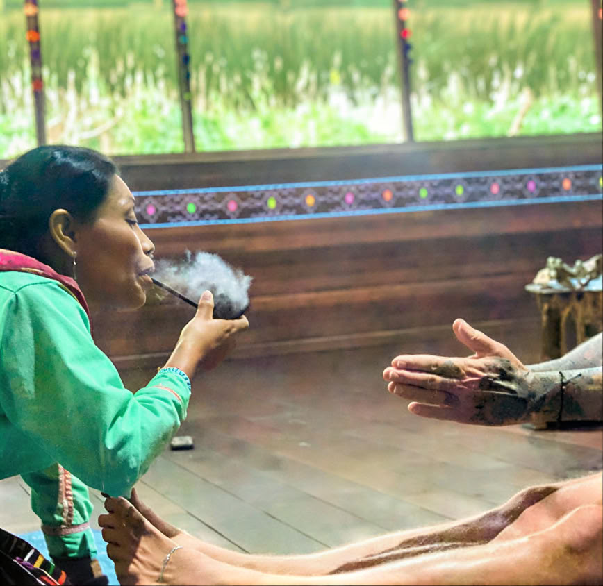 5-daagse introductie tot ayahuasca en Amazonische plantenmedicijn