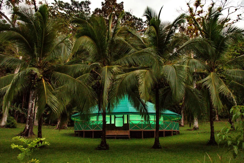 Ayahuasca-workshops