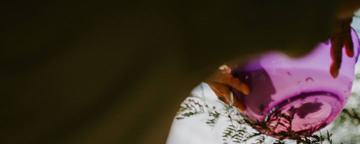 Ayahuasca-workshops - 8 dagen