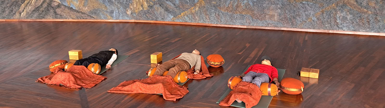 Yoga voor het leven-programma