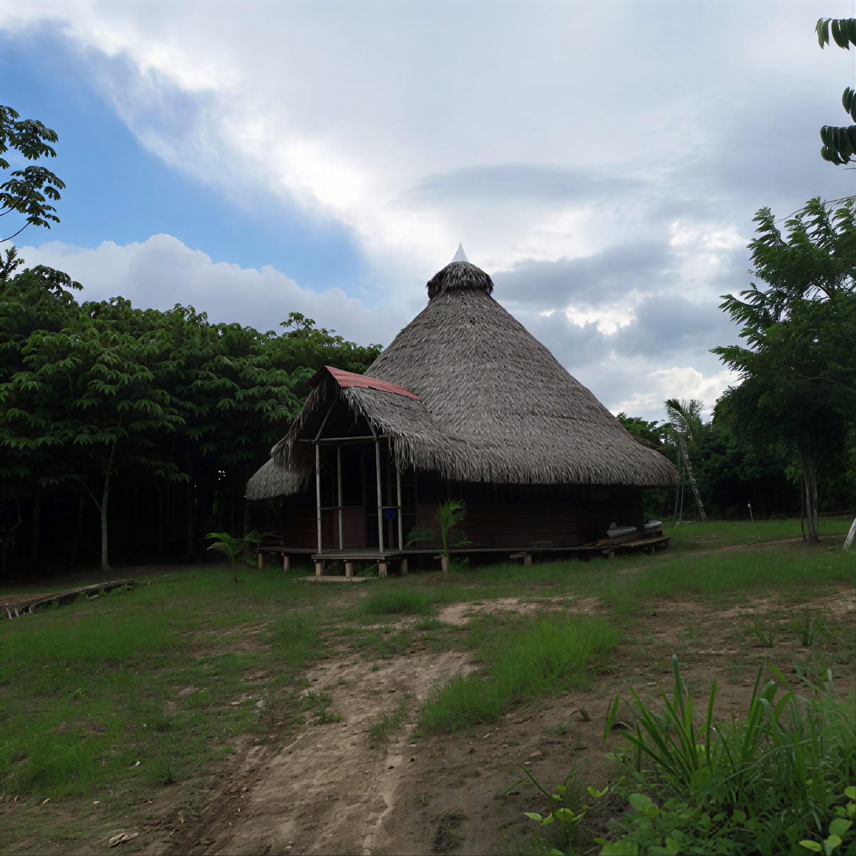 3 weken ayahuasca-retraite Peru