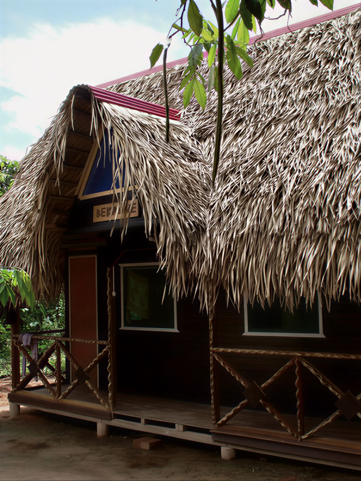 3 weken ayahuasca-transformatie