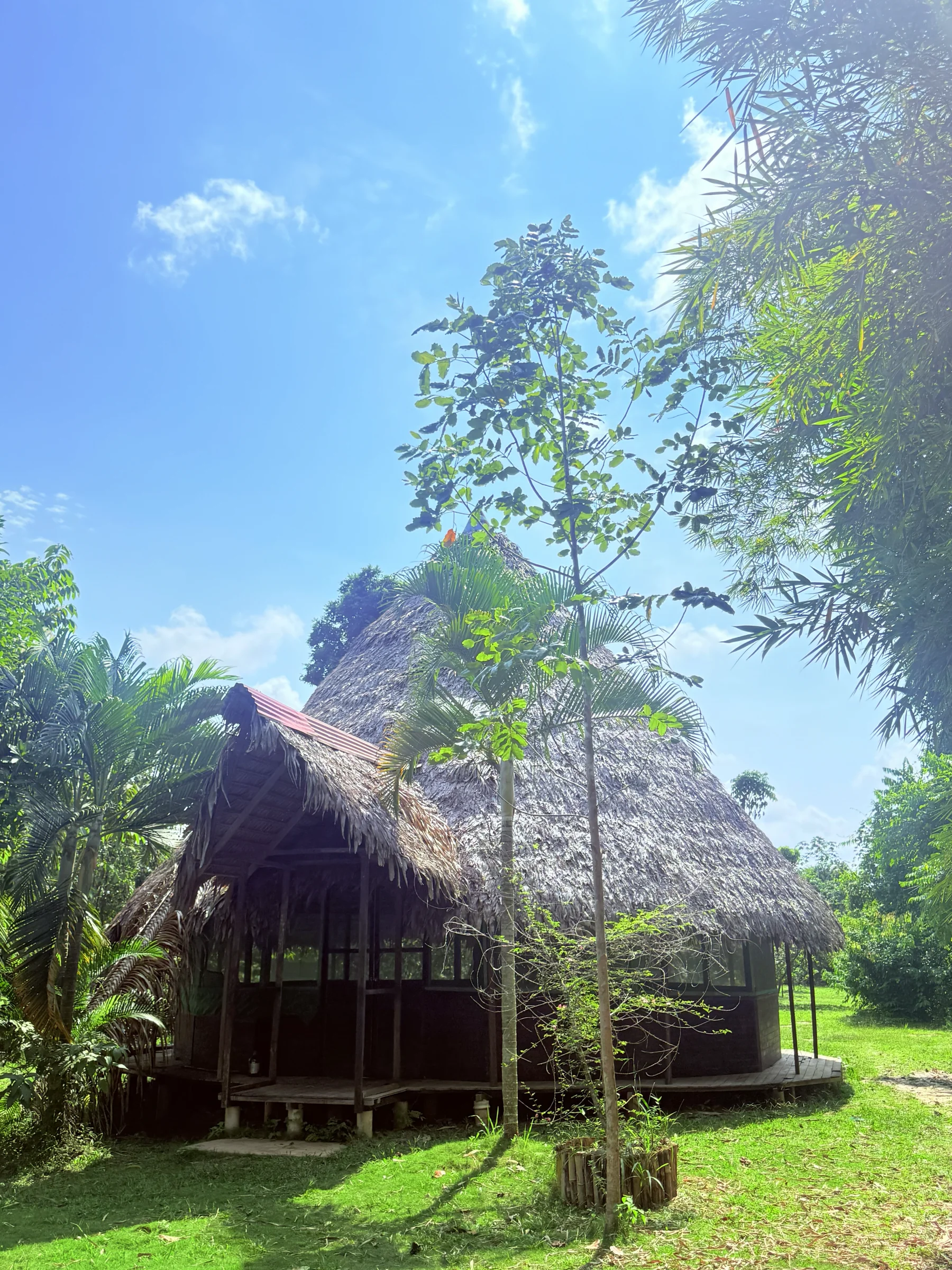 3 weken ayahuasca-transformatie
