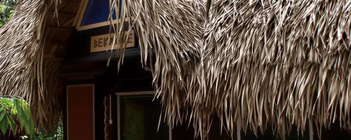 3 weken ayahuasca-transformatie